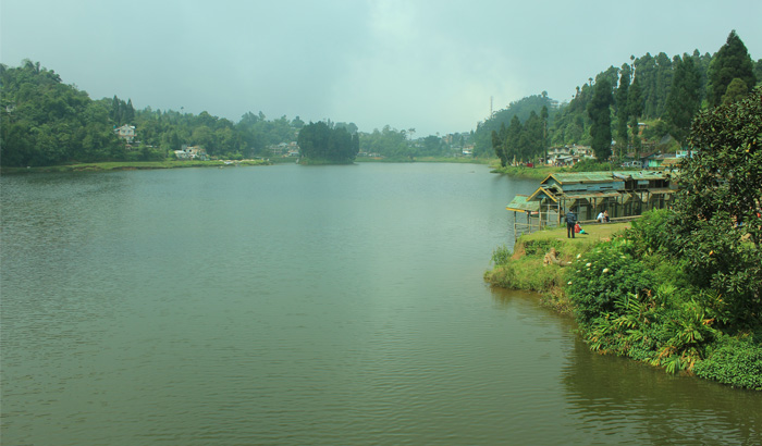Senchal Wild Life Sanctuary Lake Darjeeling,