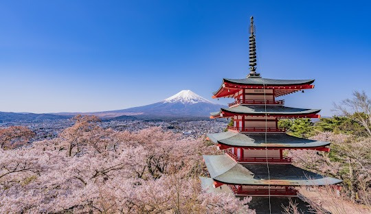 Wonderful Japan 8 days